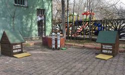 Başkan Tahmazoğlu: "Sıcak havalar hayvanları da olumsuz etkiliyor"