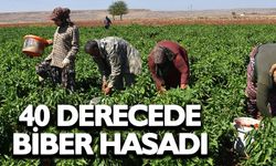 Gaziantep'te kadınların biber mesaisi başladı