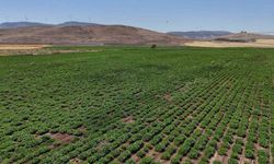Gaziantep Büyükşehir, akıllı sulama sistemlerini Nurdağı ve İslahiye’de hayata geçirdi