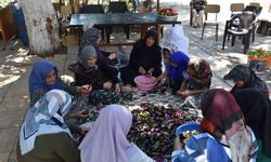 Gaziantep’te kadınların imece usulü kurutmalık telaşı