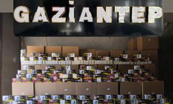 Gaziantep'te kaçakçılık operasyonunda yakalanan 2 zanlı tutuklandı