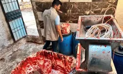 Gaziantep'te hileli gıda bitmiyor! Salça üretilen ortam şok etti...
