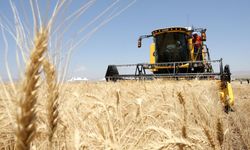 Türkiye'nin hububat ihracatı geçen yıl 12,3 milyar doları aştı