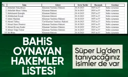 TFF, bahis oynayan hakemleri PFDK'ya sevk etti