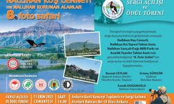 Bu Sergiyi Kaçırmayın! Nallıhan Kuş Cenneti Sergisi Yarın Ankara Kent Konseyi Salonunda Açılıyor.