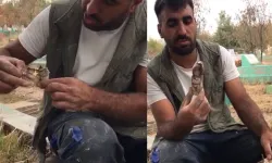 Kan donduran manzara! Mezarlıktan kefenlenmiş oyuncak bebek çıktı