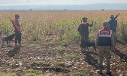 Gaziantep’te yaban domuzu alarmı! Önlemler alındı...