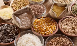 Türkiye'nin hububat ve bakliyat ihracatı yılın 9 ayında yüzde 4,2 arttı