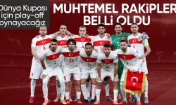 A Milli Takımı'nın play-off'lardaki muhtemel rakipleri belirlendi