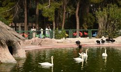 Gaziantep Doğal Yaşam Parkı, ara tatilde 325 bin kişiyi ağırladı