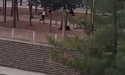 Gaziantep'te karısını öldüren zanlının vurularak yakalanma anı kamerada