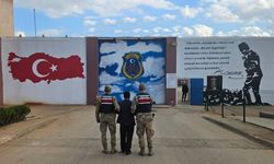 Gaziantep'te Hırsızlık suçundan 17 yıl cezayla aranan şahsı jandarma yakaladı