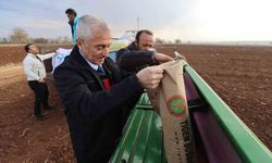 Tahmazoğlu dağıttığı tohumları çiftçilerle ekti