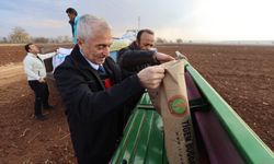 Başkan Tahmazoğlu dağıttığı tohumları çiftçilerle ekti