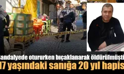 Sandalyede otururken bıçaklanarak öldürülmüştü: 17 yaşındaki sanık genç kıza 20 yıl hapis