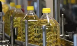 Türkiye'nin ayçiçek yağı ihracatı 1 milyar dolara yaklaştı