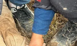 Dayısı tarafından dövülerek ölüme terk edilen çocuk kayaların altında yaralı halde bulundu