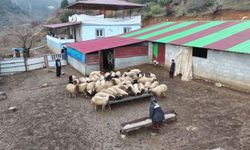 Gaziantepli depremzede besici devlet desteğiyle hayata tutundu!