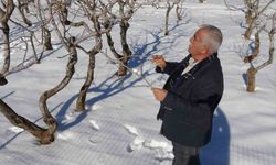 Kar yağışı Gaziantep'te çiftçinin yüzünü güldürdü