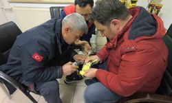 Papağanın ayağına sıkışan halhal itfaiye ekiplerinin operasyonuyla çıkarıldı