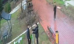 4 genç kuş yuvasını böyle parçaladı