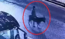 Garip Bir Hırsızlık olayı! Forkliftle Kuyumcu Soyan Zanlı Eşekle Kaçtı