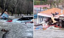 Taşan çaydaki işletme yıkıldı, sulara kapılmak üzere olan bir köpek son anda kurtarıldı