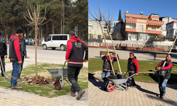 Nizip'te ekipler daha yeşil bir ilçe için sahada