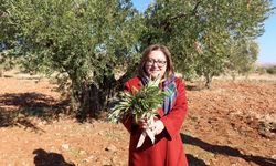 Gaziantep Büyükşehir’den Nizip’e örnek tarımsal destekler!