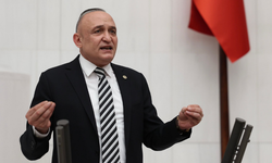 CHP’li Meriç’ten “Hayvan Hakları” tepkisi: “Kanun keyfi uygulamalara ve hayvan ticaretine kapı mı aralıyor?”