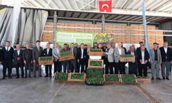 Gaziantep'te karpuz üreticisi çiftçilere yüzde 50 hibeli fide desteği