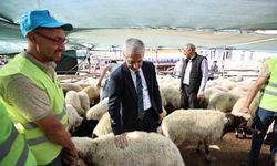 Tahmazoğlu'ndan vatandaşın yüzünü güldüren kurban açıklaması