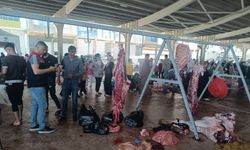 Gaziantep'te hastalıklı kurban eti şoku! O etler imha edildi...