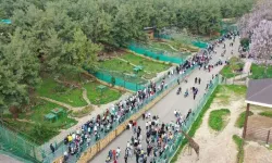 Gaziantep Doğal Yaşam Parkı'nda bayramda ziyaretçi akını