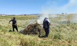 Gaziantep'te firik sezonu başladı