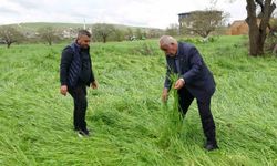 Gaziantep'te hububatı 'süper hücre' yağışı vurdu