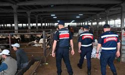 Gaziantep'te jandarmadan kurban pazarlarında dron destekli denetim