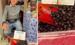 İzmir'de zeytinin tanesini 50 liraya satan şahsa idari para cezası