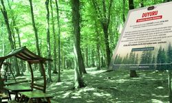 Gaziantep'te piknik alanlarına yasak geldi