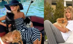 Benim bu dünyayla işim bitti! Seren Serengil'in acı günü! Köpeğini kaybetti