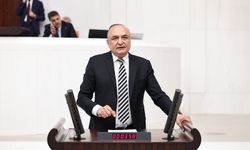 CHP’li Meriç’ten kadın sığınma evlerindeki sorunlara ilişkin soru önergesi