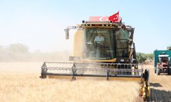 Şahinbey'de buğday hasadı çiftçileri mutlu etti