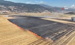 Gaziantep'te korkutan tarla yangını