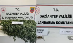 Gaziantep'te Yasadışı Kenevir ekimine jandarma operasyonu