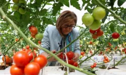 Organik Üretim! Gaziantep Büyükşehir Belediyesi'nden tarımda çevreci üretim modeli