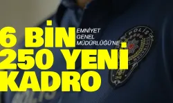 Emniyet Genel Müdürlüğü’ne 6 bin 250 yeni kadro: Emniyet Müdürü ve Amir atanacak