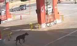 Gaziantep'te 2 kişinin öldüğü, 5 kişinin yaralandığı silahlı kavga kameraya yansıdı
