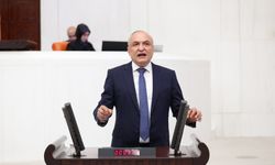 YENİ Partili Meriç’ten cezaevlerindeki kötü koşullar için soru önergesi
