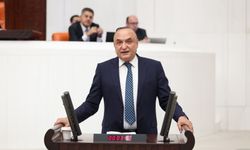 Meriç’ten TBMM Genel Kurulu’nda şehit aileleri için çağrı: “Bu borcu lafla değil, icraatla ödeme vaktidir”