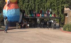 Gaziantep'te 'Yırtıcı Adası' heyecanı